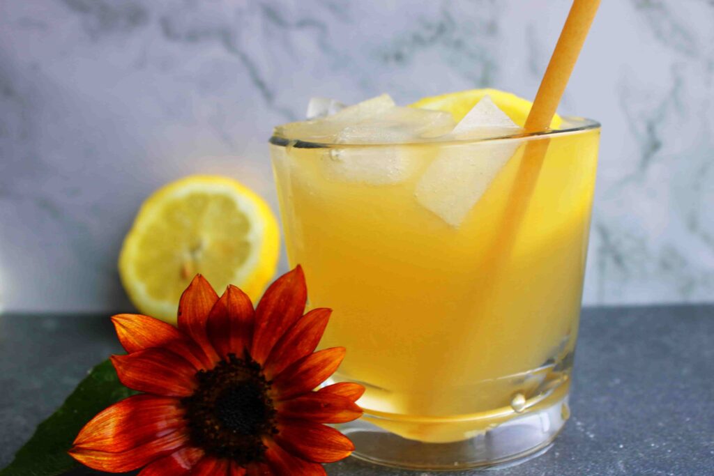 fizzy probiotic fermented lemonade in glass with ice, lemon slice and flower next to it