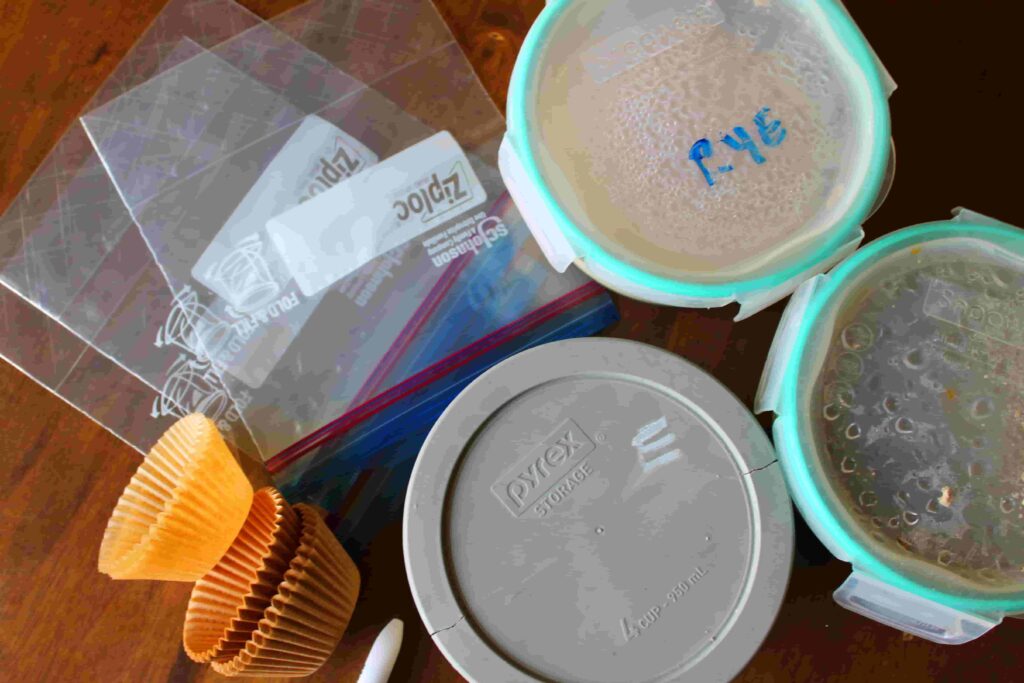freezing sourdough starter supplies